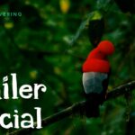 Descubre la belleza del Medio Atrato: Un tesoro natural en el corazón de Chocó